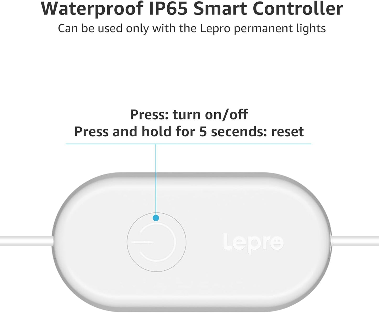 Lepro E1 AI Permanent Outdoor Lights Supply and Controller