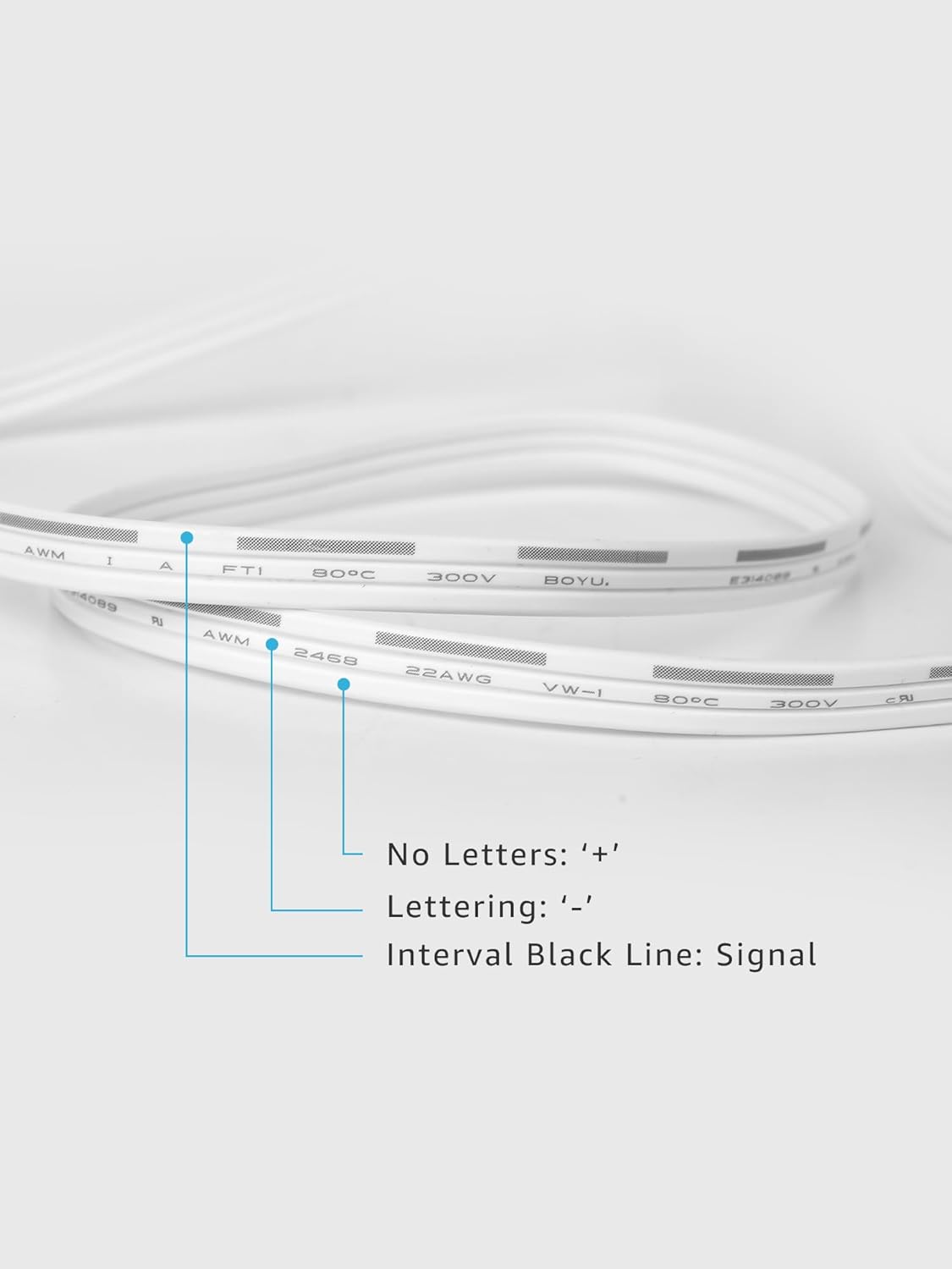 EE1 Permanent Lights Accessories Only, 10ft Extension Cable for EE1 Permanent Outdoor Lights(Not Compatible with E1), Extension Cord with Built-in Data Booster