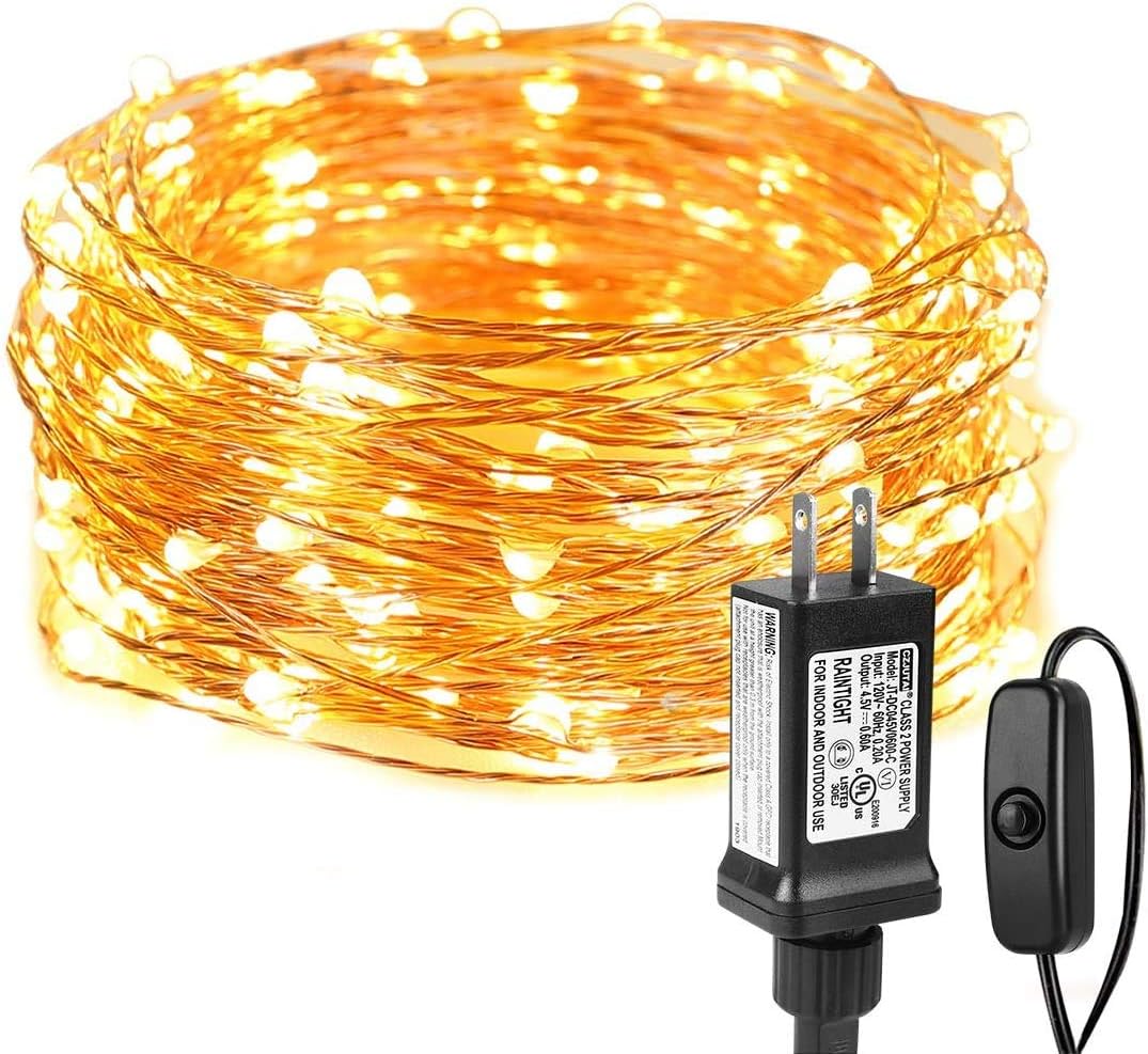 Lepro 10M waterproof LED string lights with 100 warm white LEDs on copper wire, ideal for indoor and outdoor decorative lighting.
