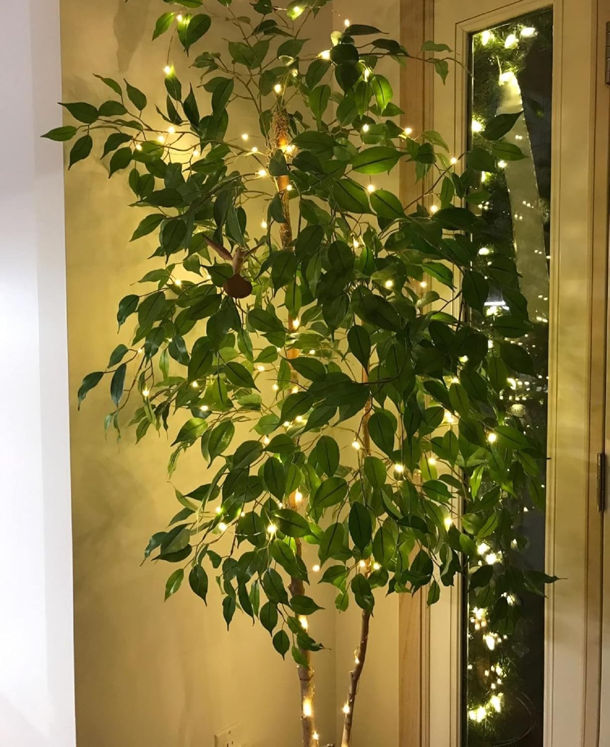 Lepro 10M LED string lights with 100 warm white LEDs on waterproof copper wire, ideal for indoor and outdoor decorative lighting.